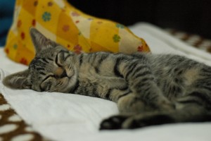 朝起きない子供を気分よく目覚めさせる方法