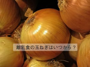離乳食の玉ねぎはいつから？ ペーストを冷凍、レンジで解凍が便利
