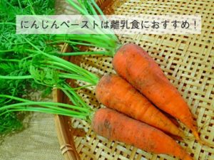 離乳食のにんじん。ペーストにして冷凍がいい！レンジで戻すには？