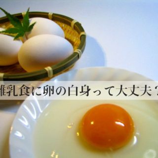 離乳食の食パン 初期はパン粥 そのまま食べられるのはいつから 楽しい子育て応援ブログ こそだねっと