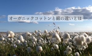 日本製オーガニックコットンのベビー服が安心！ おすすめ通販もご紹介