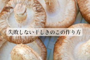 干しキノコの作り方。キノコは天日干しでビタミンDが１０倍にアップ