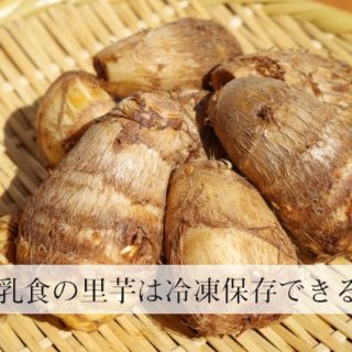 離乳食の魚はいつから 魚の種類はどれがいい 冷凍の仕方もご紹介 楽しい子育て応援ブログ こそだねっと