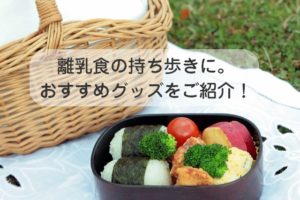 離乳食の持ち歩きに便利なグッズたち！ 容器は100円ショップでも大丈夫？