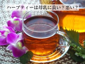 母乳を増やすハーブティーの効果？ ただし、授乳中のセージには要注意
