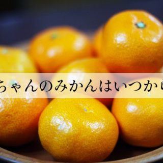 赤ちゃんは黒糖を食べちゃだめ 一歳未満は乳児ボツリヌス症の危険が 楽しい子育て応援ブログ こそだねっと