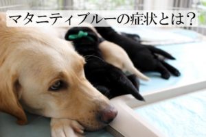 マタニティブルーとは？妊娠中、こんな症状に要注意！解消法はあるの？
