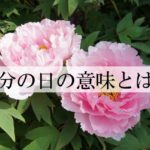 春分の日の意味とは？春のお彼岸との関係は？なぜぼたもちを食べるの？