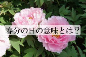 春分の日の意味とは？春のお彼岸との関係は？なぜぼたもちを食べるの？