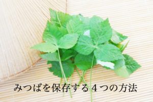 みつばの保存方法。風味良くできるだけ長く保存する方法。冷凍もできます！