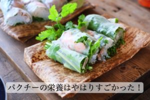 パクチーの栄養でアンチエイジング効果？含まれる栄養素を徹底調査！