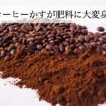 捨てていたコーヒーかすが肥料・消臭剤に再利用！便利でお得な使い方