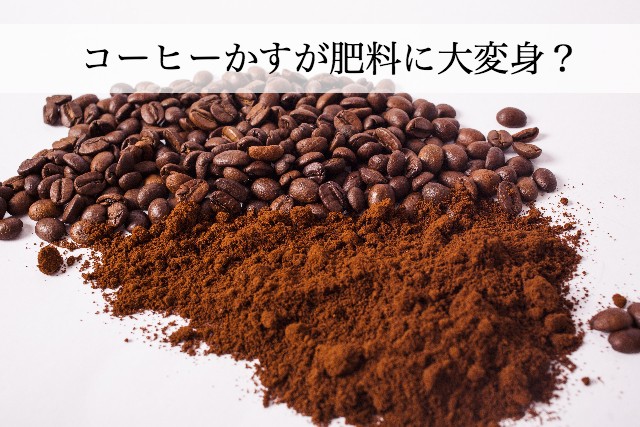 捨てていたコーヒーかすが消臭剤や肥料に再利用！便利でお得な使い方
