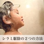 シラミ駆除にはスミスリンとアロマオイルが有効！具体的な使い方は？