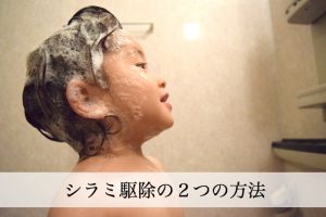 シラミ駆除にはスミスリンとアロマオイルが有効！具体的な使い方は？