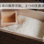 お米の保存方法は常温？袋のまま？美味しく保存するコツを紹介