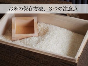 お米の保存方法は常温？袋のまま？美味しく保存するコツを紹介