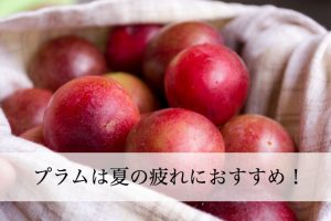 プラムの栄養は夏の疲れにピッタリ！酸っぱいクエン酸の効能もうれしい