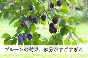 プルーンの効果。奇跡のフルーツと呼ばれるには理由があった！