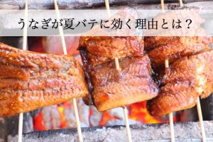 うなぎの栄養が夏バテに効く理由に納得！やっぱり食べたくなりますよね？