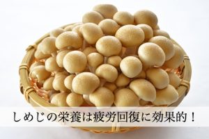しめじの栄養は疲労回復に効果的！βグルカンとオルニチンがたっぷり！