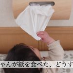 赤ちゃんが紙を食べた！少しなら大丈夫？危険な場合の対処法は？