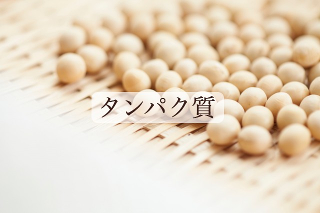 タンパク質