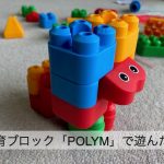 知育ブロックポリエムを子どもと遊んだ口コミ感想